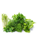 Product Category Herbs