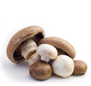 Product Category Mushrooms